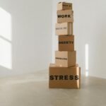 🧠 Wat is stress nou écht?